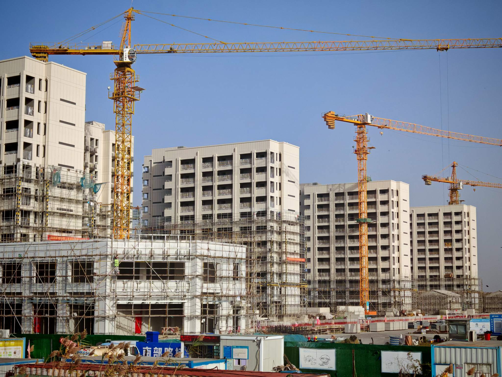 1765442824736778.jpg 1765442824736778.jpg