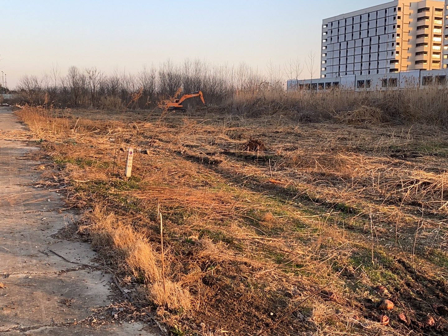 1772606019688674.jpg 1772606019688674.jpg