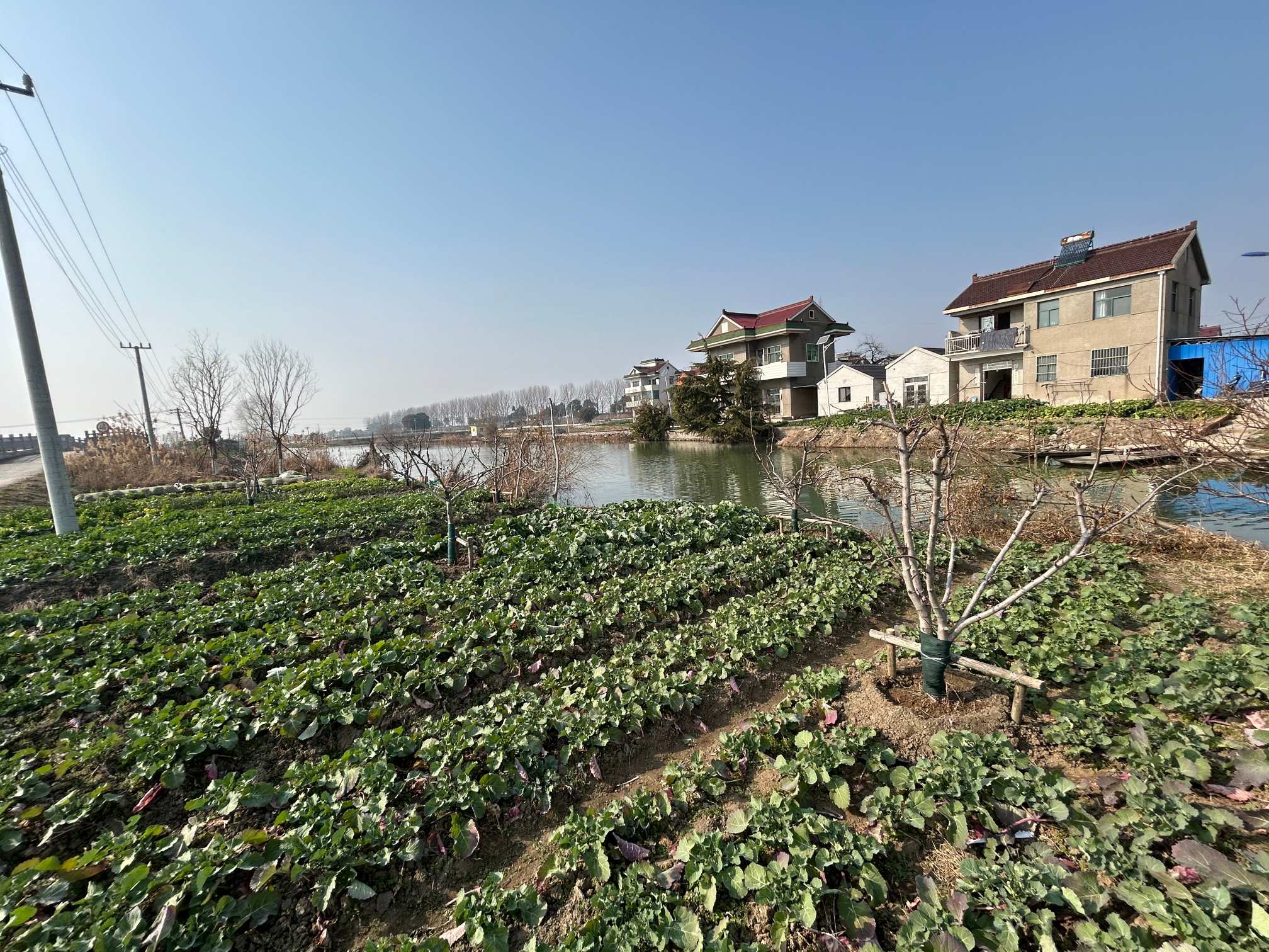 1773130331869075.jpg 1773130331869075.jpg